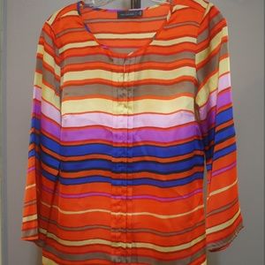 The Limited Multi-Colored Blouse